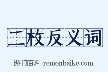 二枚反义词是什么意思的图片